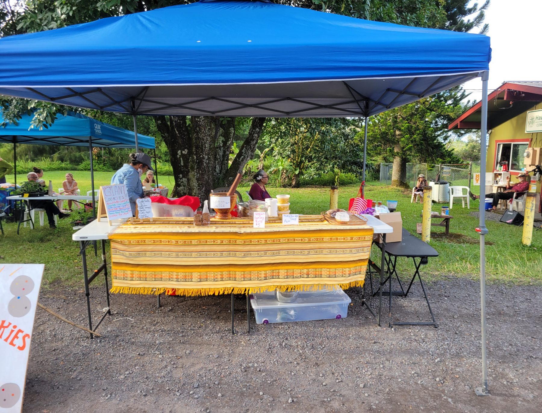 Vendors and neighbors at the Moho Community Market